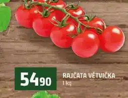 Terno RAJČATA VĚTVIČKA nabídka