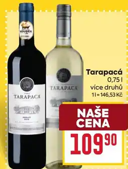 Billa Tarapacá nabídka