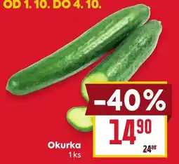 Billa Okurka nabídka