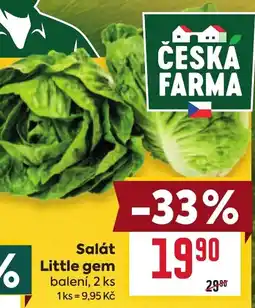 Billa Česká farma salát little gem nabídka