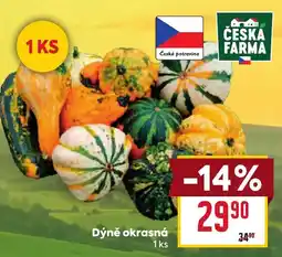 Billa Česká farma Dýně okrasná nabídka
