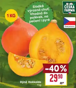 Billa Česká Farma Dýně Hokkaido nabídka