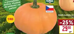 Billa Dýně muškátová nabídka