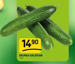 Flop Okurka salátová nabídka