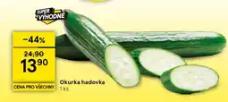 Tesco Okurka hadovka nabídka