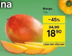 Tesco Mango nabídka