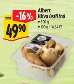 Albert Albert Hlíva ústřičná nabídka