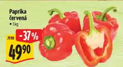 Albert Paprika červená nabídka