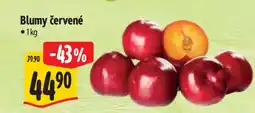 Albert Blumy červené nabídka