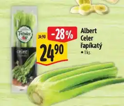 Albert Albert Celer řapíkatý nabídka
