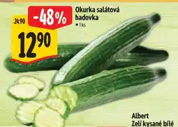 Albert Okurka salátová hadovka nabídka