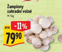 Albert Žampiony zahradní volné nabídka