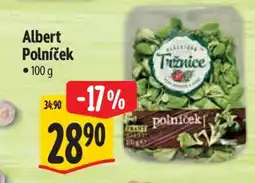 Albert Albert Polníček nabídka