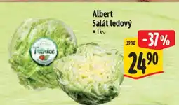 Albert Albert Salát ledový nabídka