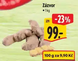 Albert Zázvor nabídka