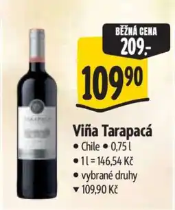 Albert Viña Tarapacá nabídka