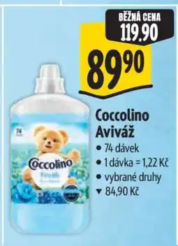 Albert Coccolino aviváž nabídka
