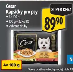 Albert CESAR KAPSIČKY PRO PSY nabídka