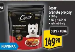Albert Cesar Granule pro psy nabídka