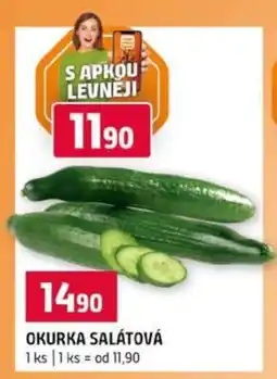 Terno OKURKA SALÁTOVÁ nabídka