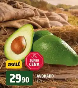 Terno Avokádo nabídka