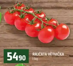 Terno RAJČATA VĚTVIČKA nabídka