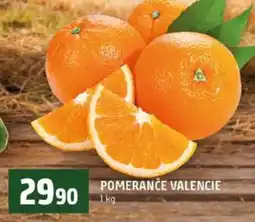 Terno POMERANČE VALENCIE nabídka