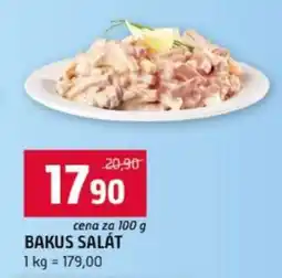 Terno Bakus salát nabídka
