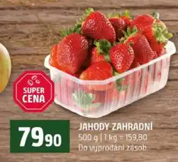 Terno Jahody zahradní nabídka