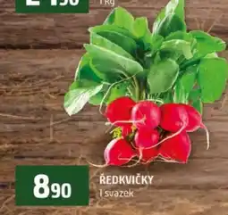 Terno Ředkvičky nabídka