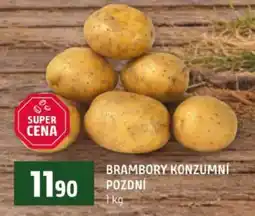 Terno Brambory konzumní pozdní nabídka