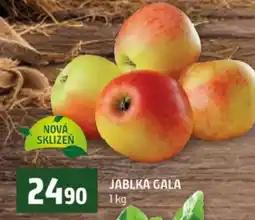 Terno JABLKA GALA nabídka