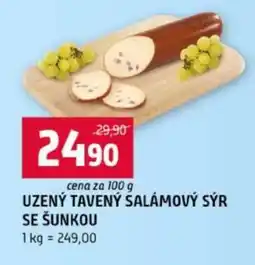 Terno UZENÝ TAVENÝ SALÁMOVÝ SÝR SE ŠUNKOU nabídka