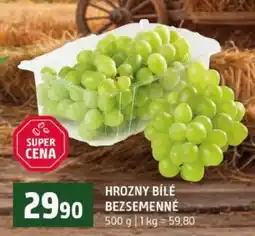 Terno Hrozny bílé bezsemenné nabídka