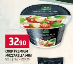 Terno COOP PREMIUM MOZZARELLA MINI nabídka