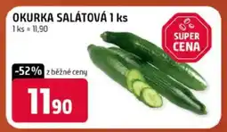 Terno OKURKA SALÁTOVÁ 1 ks nabídka