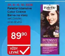 Tesco Palette Intensive Color Creme Barva na vlasy set činidel nabídka