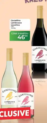 Tamda Foods Garzellino Lambrusco Uccellino nabídka