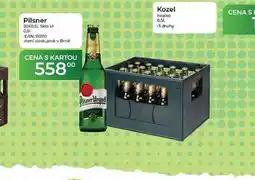 Tamda Foods Pilsner 20x0,5l Sklo nabídka