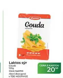 Tamda Foods Laktos sýr Gouda nabídka