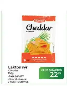 Tamda Foods Laktos sýr Cheddar nabídka