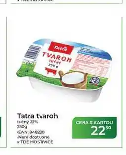 Tamda Foods Tatra tvaroh tučný 22% nabídka