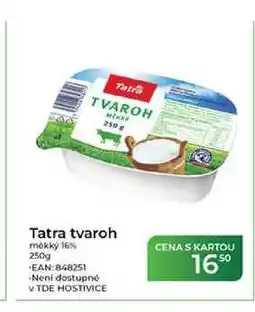 Tamda Foods Tatra tvaroh měkký 16% nabídka