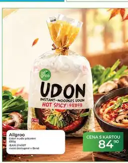 Tamda Foods Allgroo Udon nudle pikantní nabídka