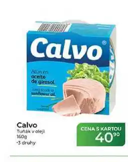 Tamda Foods Calvo Tuňák v oleji nabídka