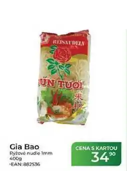 Tamda Foods Gia Bao Rýžové nudle 1mm nabídka