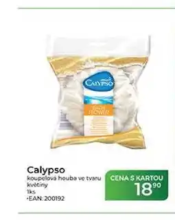 Tamda Foods Calypso koupelová houba ve tvaru květiny 1ks nabídka
