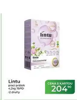 Tamda Foods Lintu prací prášek 4,2kg 75PD nabídka
