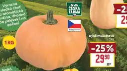 Billa Dýně muškátová nabídka