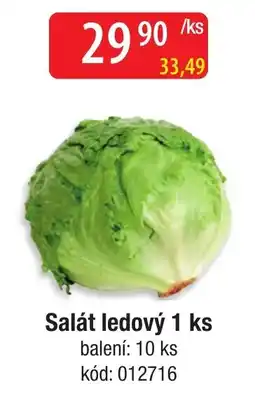 Qanto Salát ledový nabídka